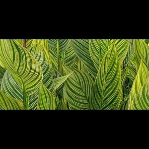 Meet your Posher, Kiran